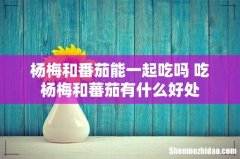 杨梅和番茄能一起吃吗 吃杨梅和蕃茄有什么好处