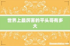 世界上最厉害的平头哥有多大