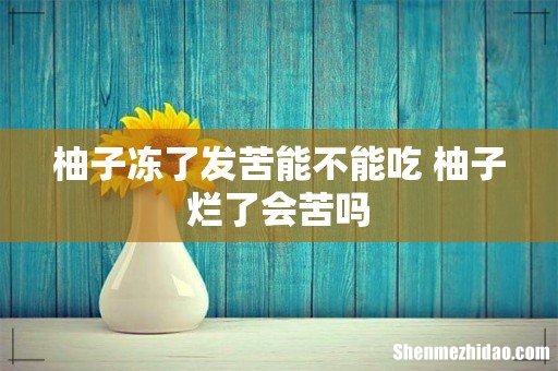 柚子冻了发苦能不能吃 柚子烂了会苦吗