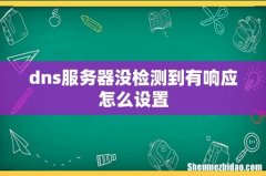 dns服务器没检测到有响应怎么设置
