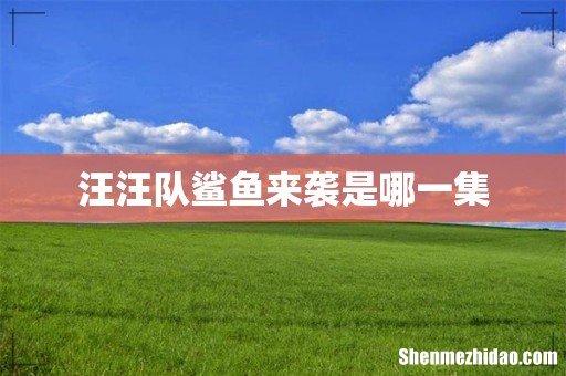 汪汪队鲨鱼来袭是哪一集