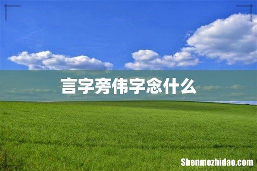言字旁伟字念什么