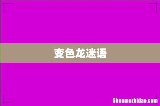变色龙迷语