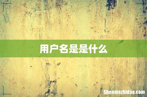 用户名是是什么