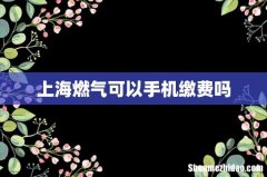 上海燃气可以手机缴费吗