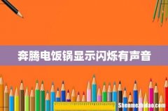 奔腾电饭锅显示闪烁有声音