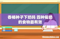 香椿种子下奶吗 四种催奶的食物最有效