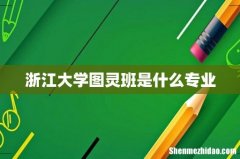 浙江大学图灵班是什么专业