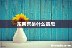 东四宫是什么意思