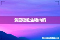 黄鼠狼吃生猪肉吗