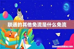 联通的其他免流是什么免流