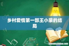 乡村爱情第一部王小蒙的结局