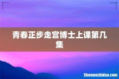 青春正步走宫博士上课第几集