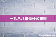一九八八年是什么花甲