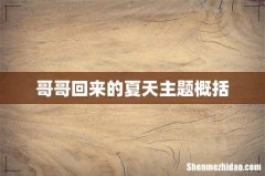 哥哥回来的夏天主题概括