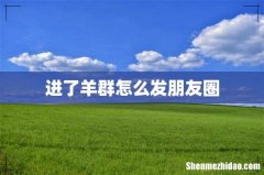 进了羊群怎么发朋友圈
