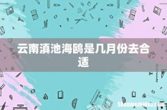 云南滇池海鸥是几月份去合适