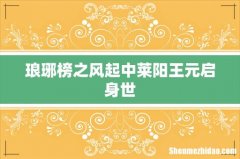 琅琊榜之风起中莱阳王元启身世