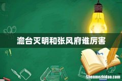 澹台灭明和张风府谁厉害