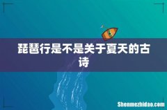 琵琶行是不是关于夏天的古诗