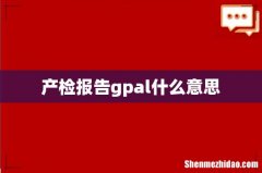 产检报告gpal什么意思