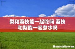梨和荔枝能一起吃吗 荔枝和梨能一起煮水吗