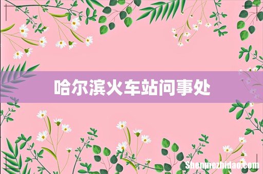 哈尔滨火车站问事处