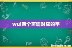 wui四个声调对应的字