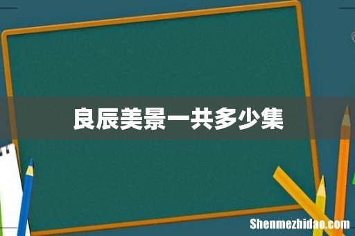 良辰美景一共多少集