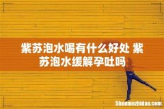 紫苏泡水喝有什么好处 紫苏泡水缓解孕吐吗