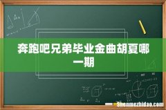 奔跑吧兄弟毕业金曲胡夏哪一期