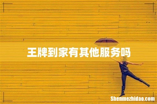 王牌到家有其他服务吗