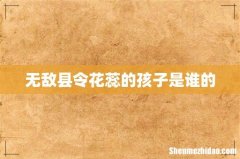 无敌县令花蕊的孩子是谁的
