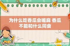 为什么吃香瓜会嘴麻 香瓜不能和什么同食
