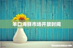 羊口海鲜市场开放时间