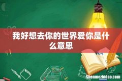 我好想去你的世界爱你是什么意思