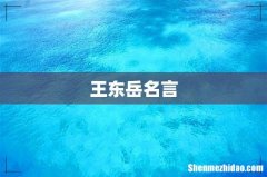 王东岳名言