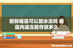 新鲜榴莲可以放冰冻吗 榴莲肉速冻能存放多久
