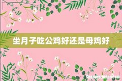 坐月子吃公鸡好还是母鸡好