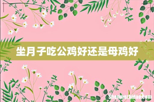坐月子吃公鸡好还是母鸡好