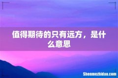 值得期待的只有远方，是什么意思