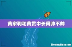 黄家驹和黄贯中长得帅不帅