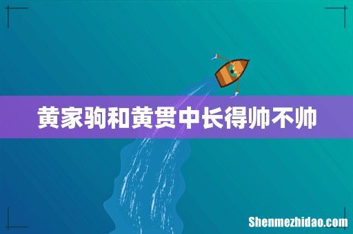 黄家驹和黄贯中长得帅不帅