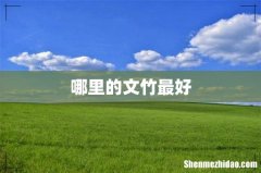 哪里的文竹最好