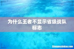 为什么王者不显示省级战队标志
