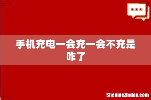 手机充电一会充一会不充是咋了