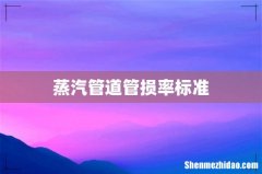 蒸汽管道管损率标准