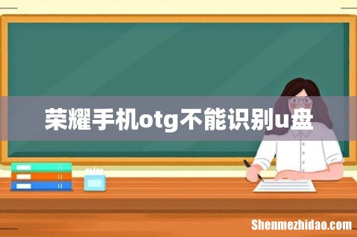 荣耀手机otg不能识别u盘