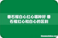 番石榴白心红心哪种好 番石榴红心和白心的区别