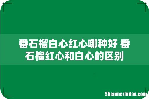 番石榴白心红心哪种好 番石榴红心和白心的区别